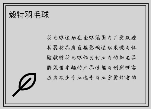 毅特羽毛球