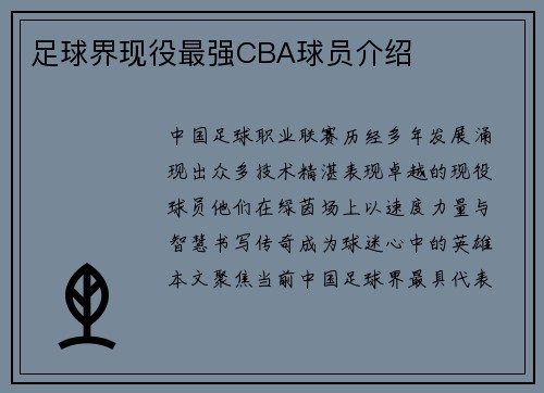 足球界现役最强CBA球员介绍